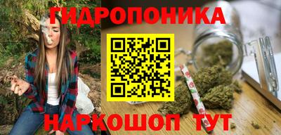 гашик Вышний Волочёк