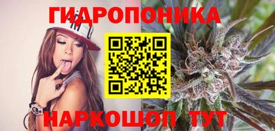 гашик Вышний Волочёк