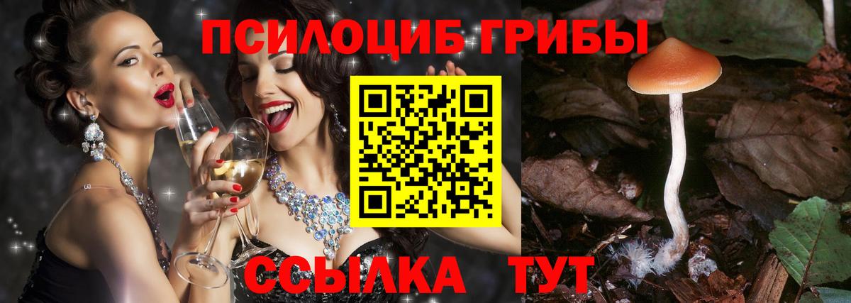 Псилоцибиновые грибы мухоморы Боровичи