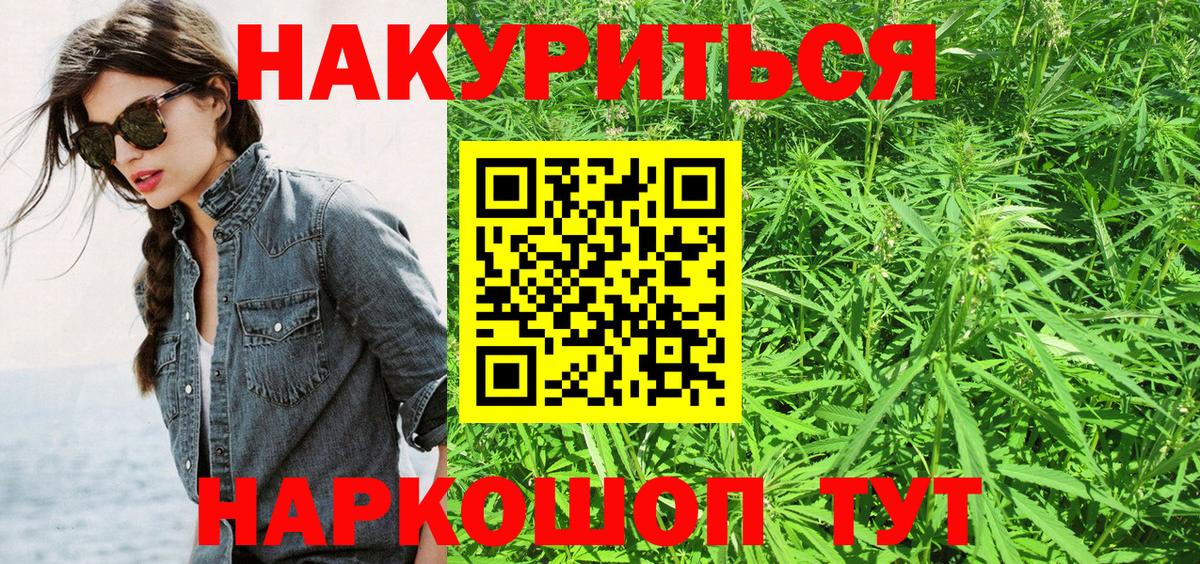 Бошки марихуана конопля  Вход с VPN  Конопля THC 21%  Марихуана план  Боровичи 